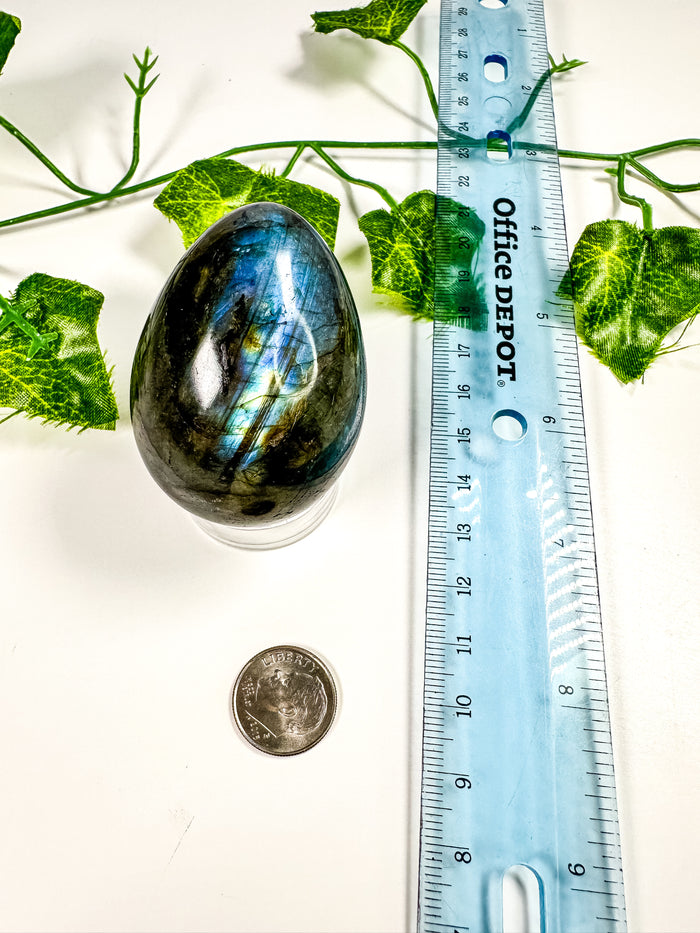 Labradorite Egg (24K)