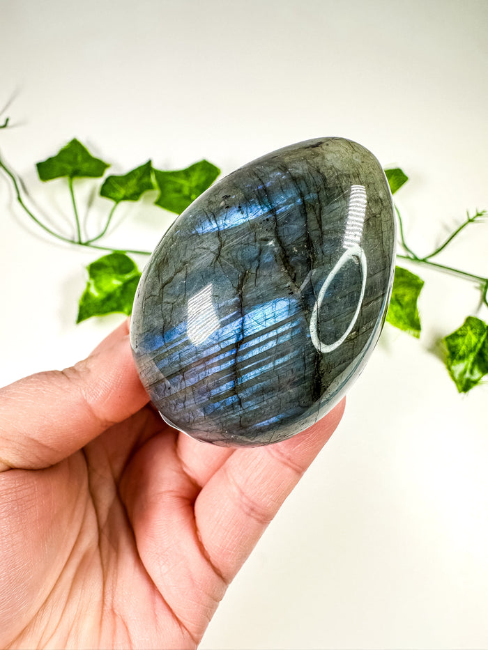 Labradorite Egg (26B)