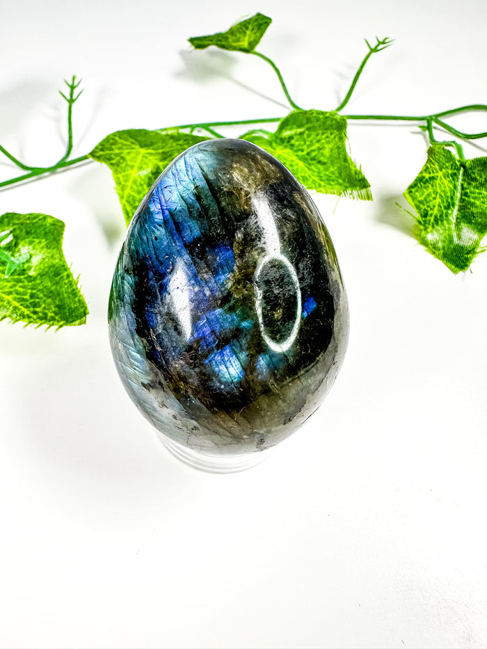 Labradorite Egg (28H)