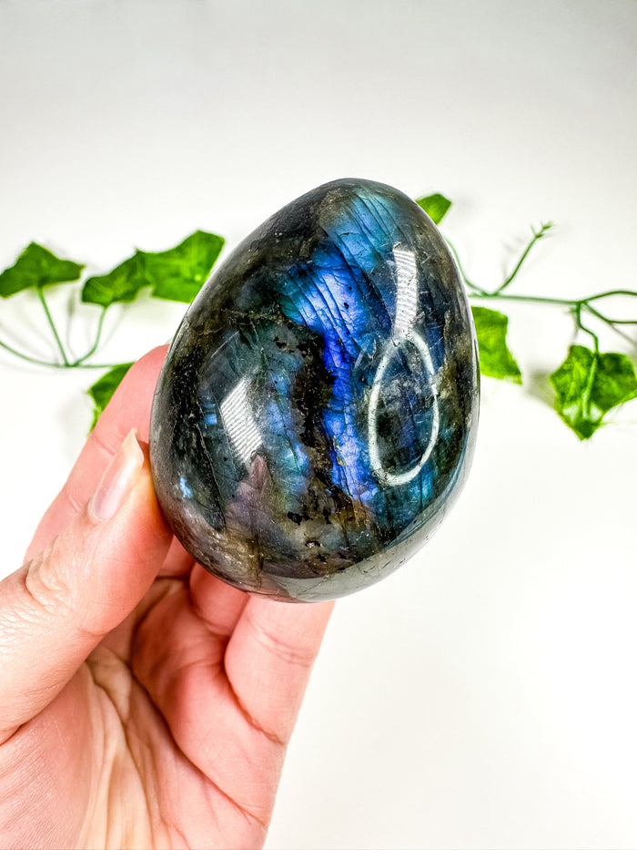 Labradorite Egg (28H)