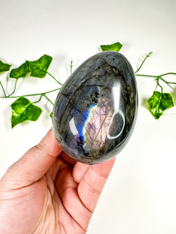 Labradorite Egg (28i)