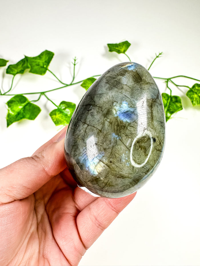 Labradorite Egg (28i)