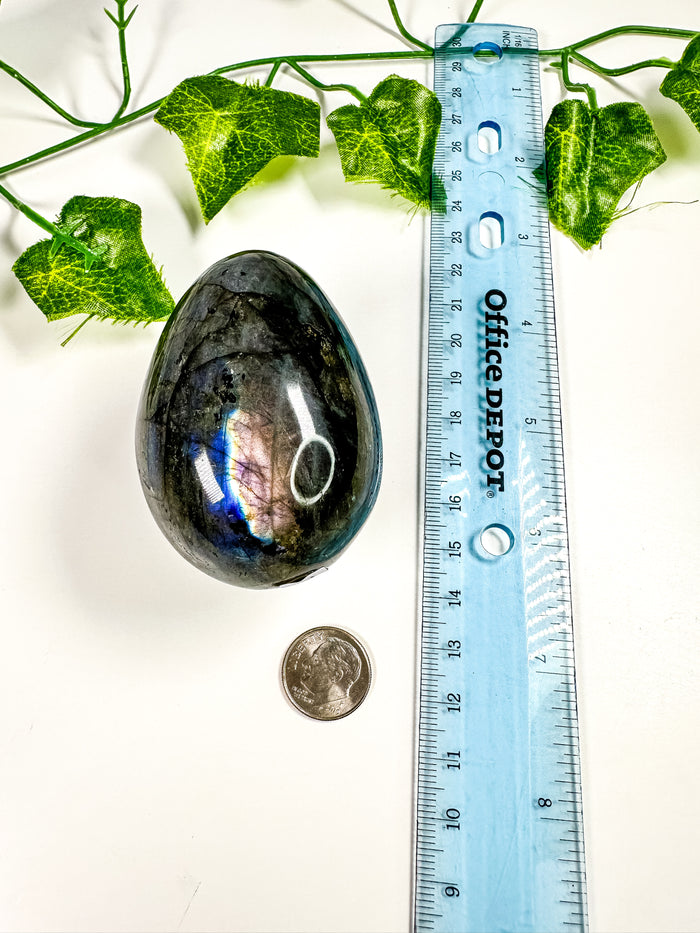 Labradorite Egg (28i)