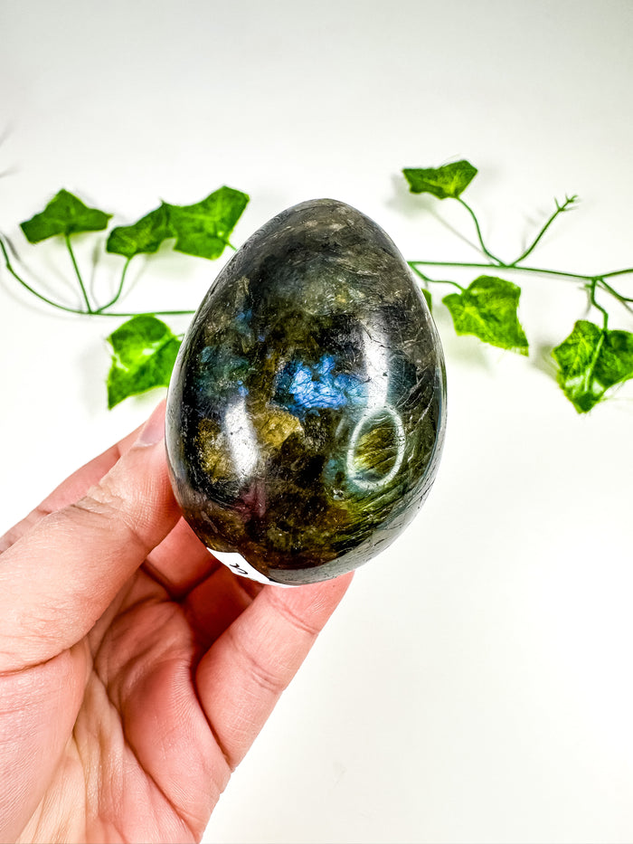 Labradorite Egg (30U)