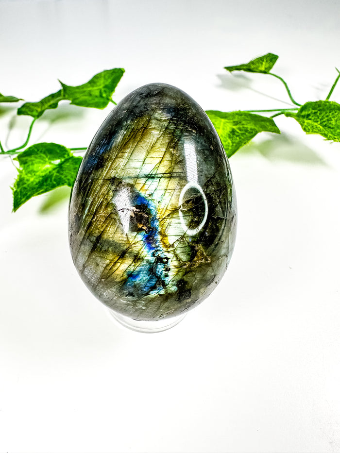 Labradorite Egg (56o)