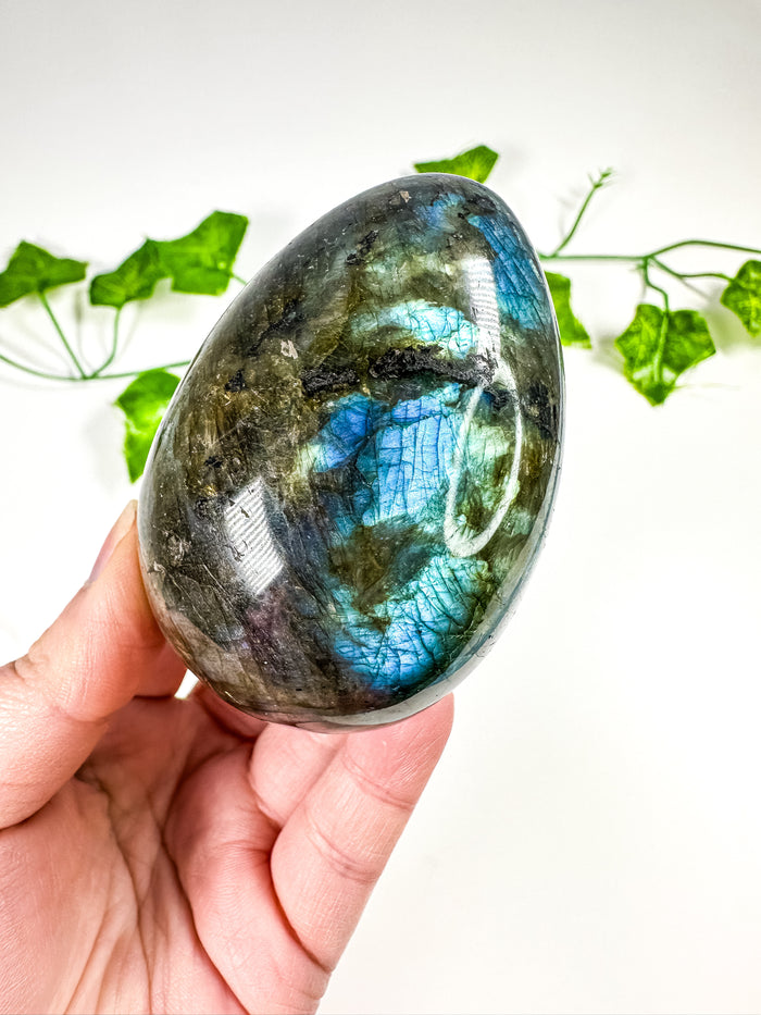 Labradorite Egg (56o)