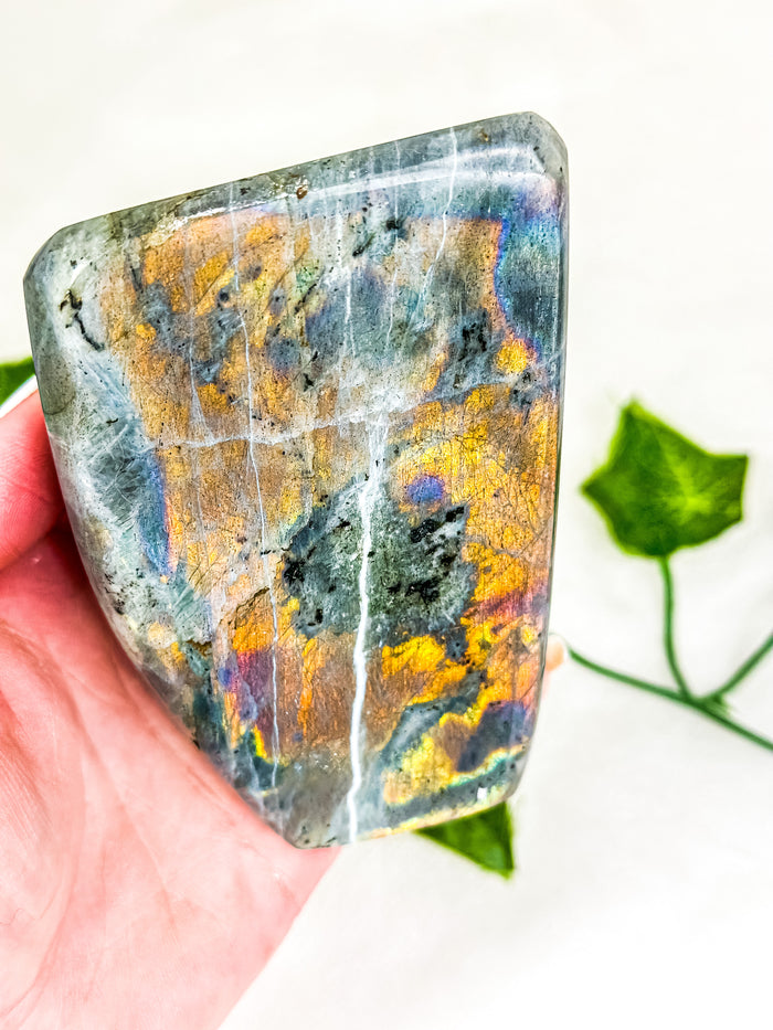 Labradorite Freeform (HQ) #5