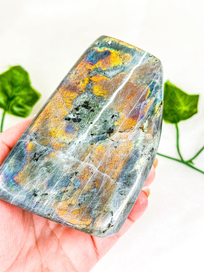 Labradorite Freeform (HQ) #5