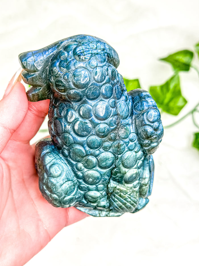 Labradorite Money Toad #2