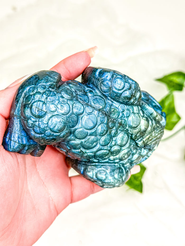 Labradorite Money Toad #2