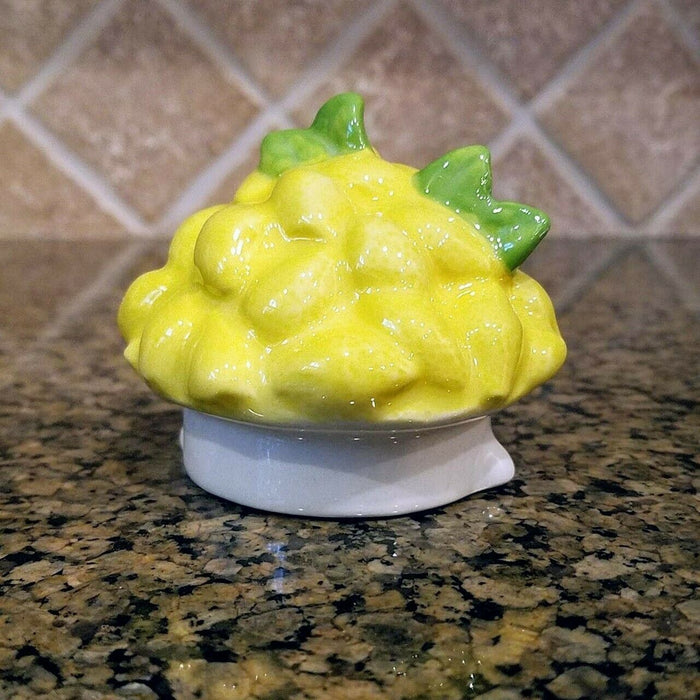 Lemon Llama Teapot Unique Collectible Decorative Kitchen Home Art Decor Goldminc