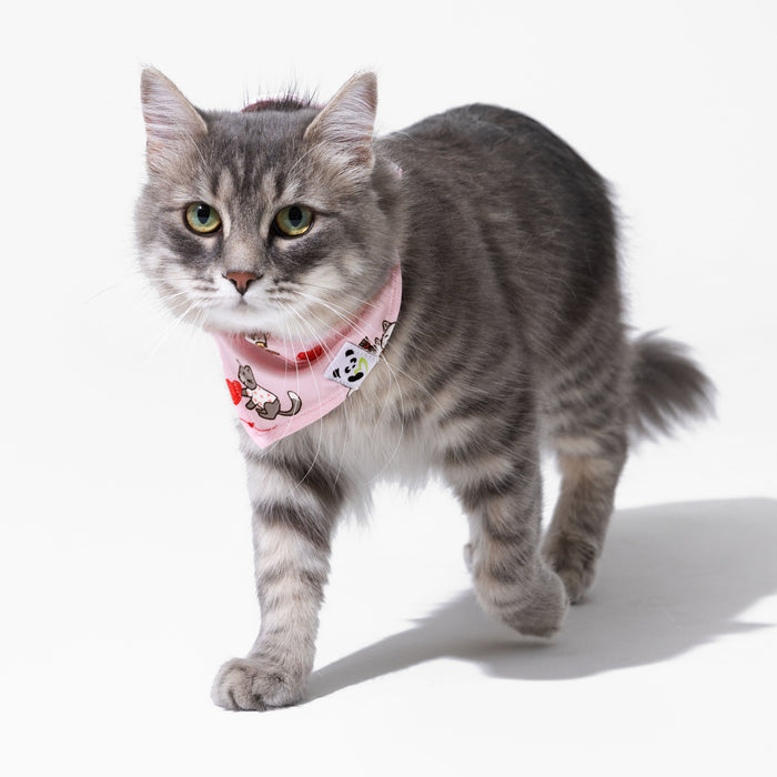 Love Kittens Bamboo Matching Pet Bandana