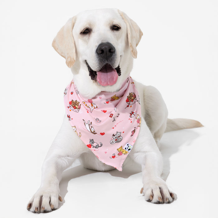 Love Kittens Bamboo Matching Pet Bandana