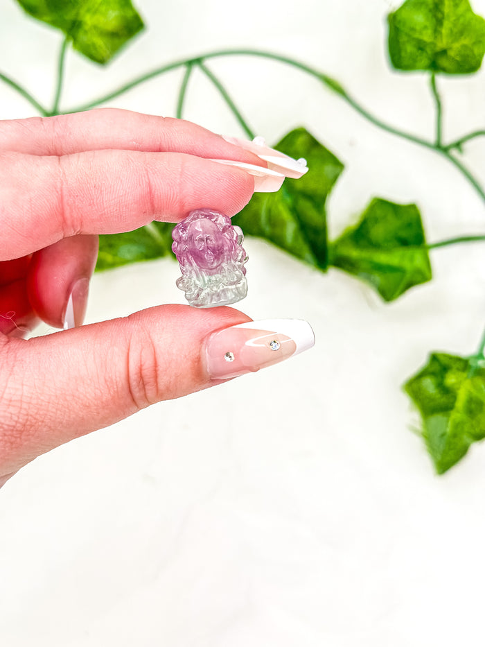 Mini Fluorite Medusa