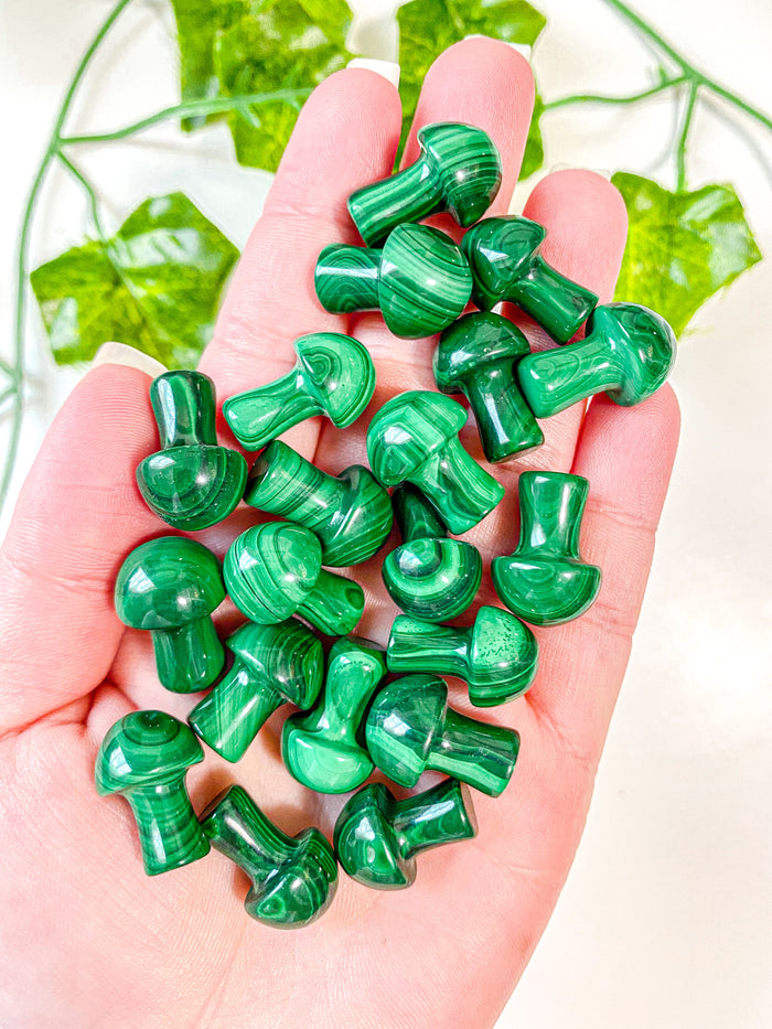 Mini Malachite Mushroom