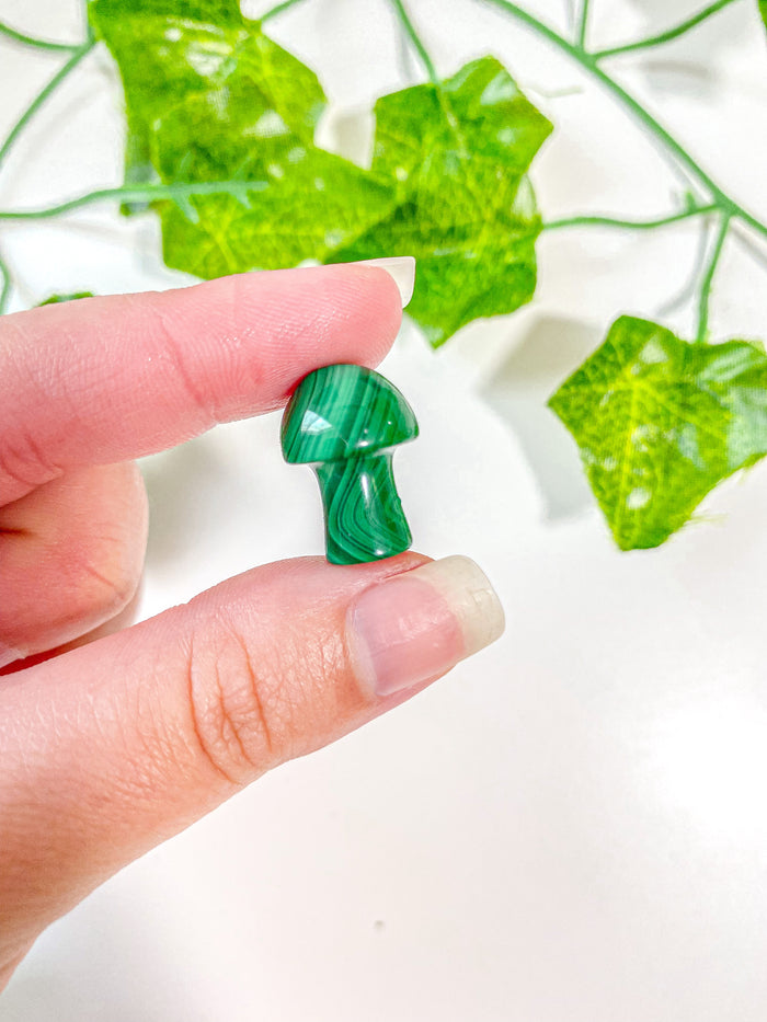 Mini Malachite Mushroom