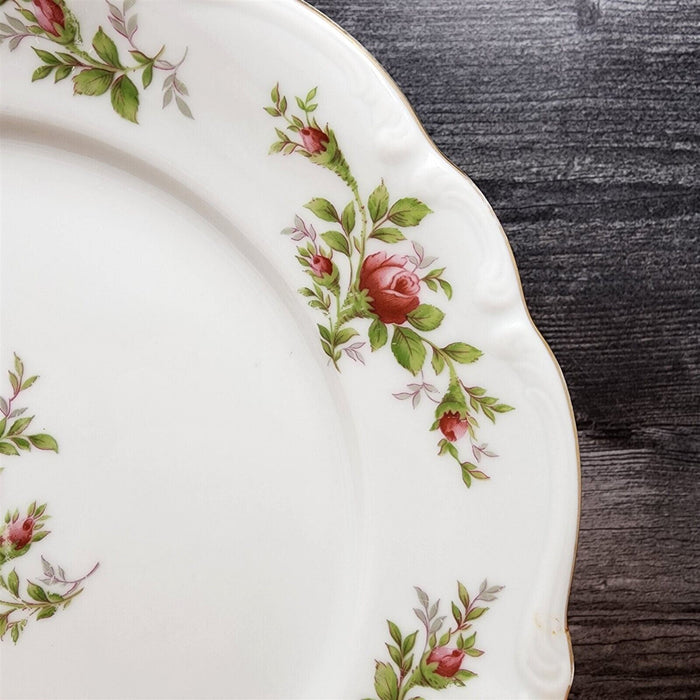 Moss Rose Set of 2 Piece Setting Johann Haviland Bavarian Stamp Bowl Plate