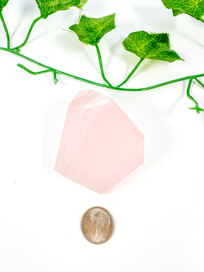 Mozambique Rose Quartz Freeform (HQ28)