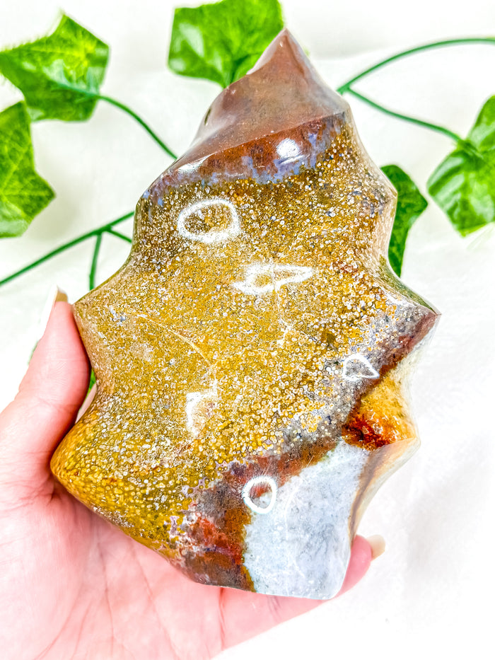 Ocean Jasper Flame #5