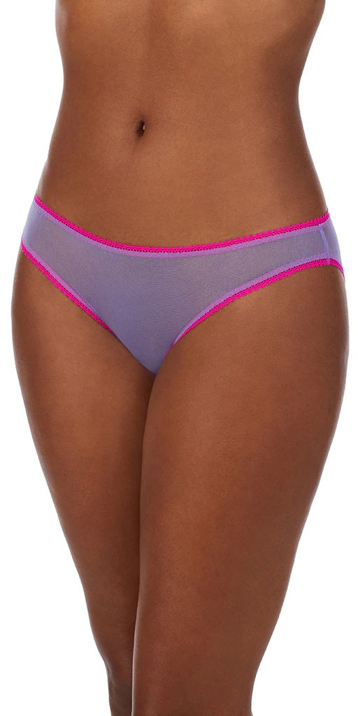 Aster Purple / Small