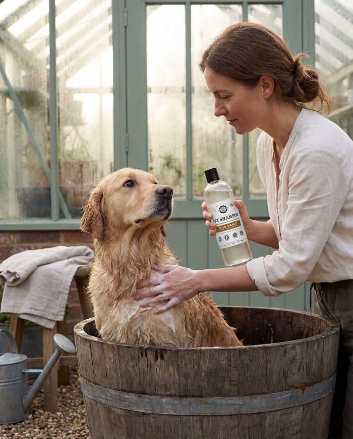 Rustic Strength, Woman washing dog using pet shampoo