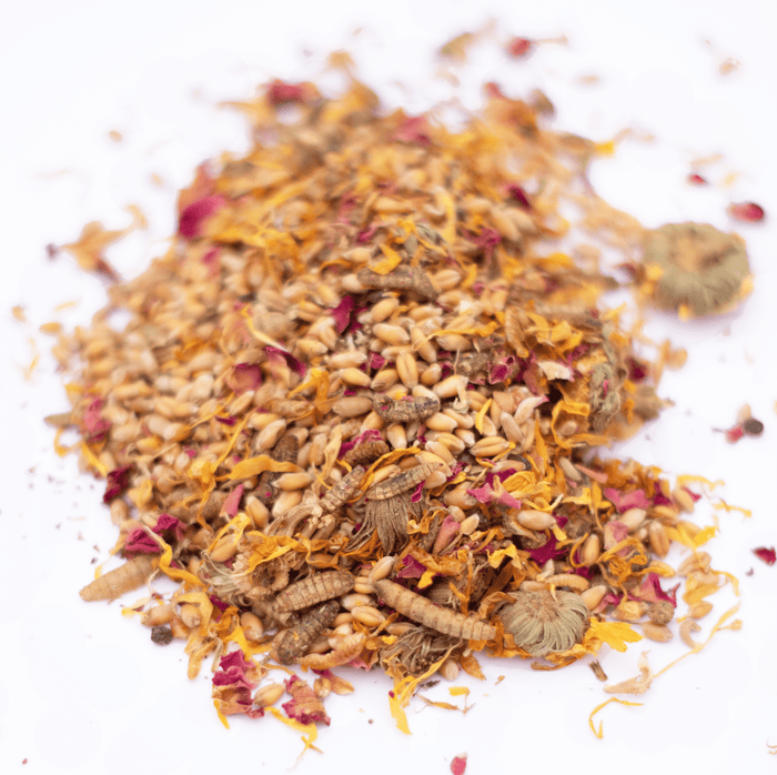 PowerHen (TM) High Protein Treat With Mealworms, Black Soldier Fly Larvae, & Herbs For Backyard Chickens