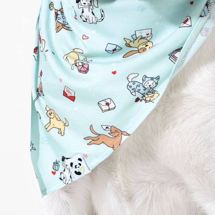 Puppy Love Bamboo Matching Pet Bandana