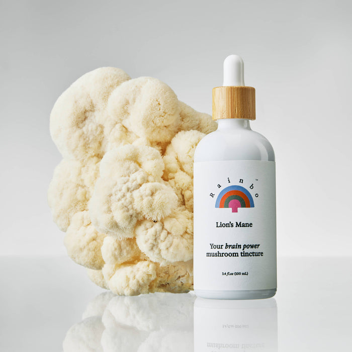 RAINBO Lion's Mane Dual Extract Tincture * Alcohol-free*