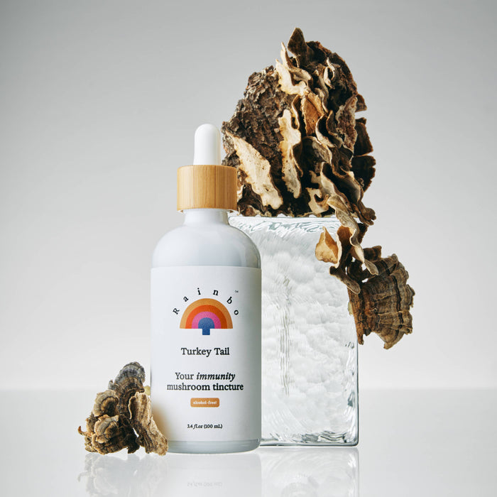 RAINBO Turkey Tail Extract Tincture *Alcohol-Free*