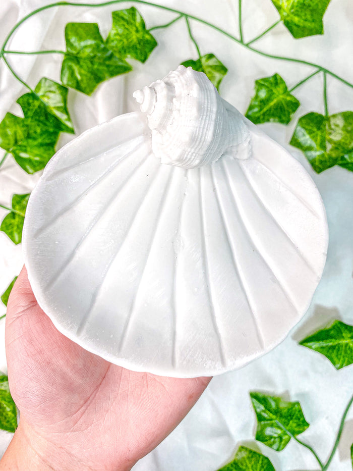 Seashell Clam Bowl