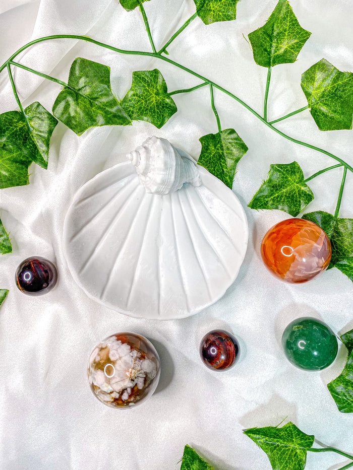 Seashell Clam Bowl