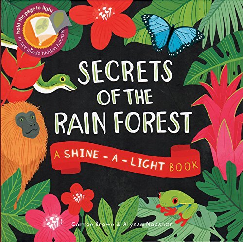 Rain Forest