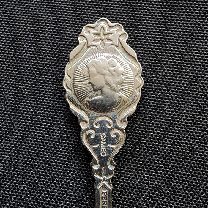 St Martin Island Collectible Travel Souvenir Spoon 4.5" (11cm) St Maartin Parrot