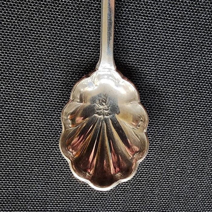 St Martin Island Collectible Travel Souvenir Spoon 4.5" (11cm) St Maartin Parrot