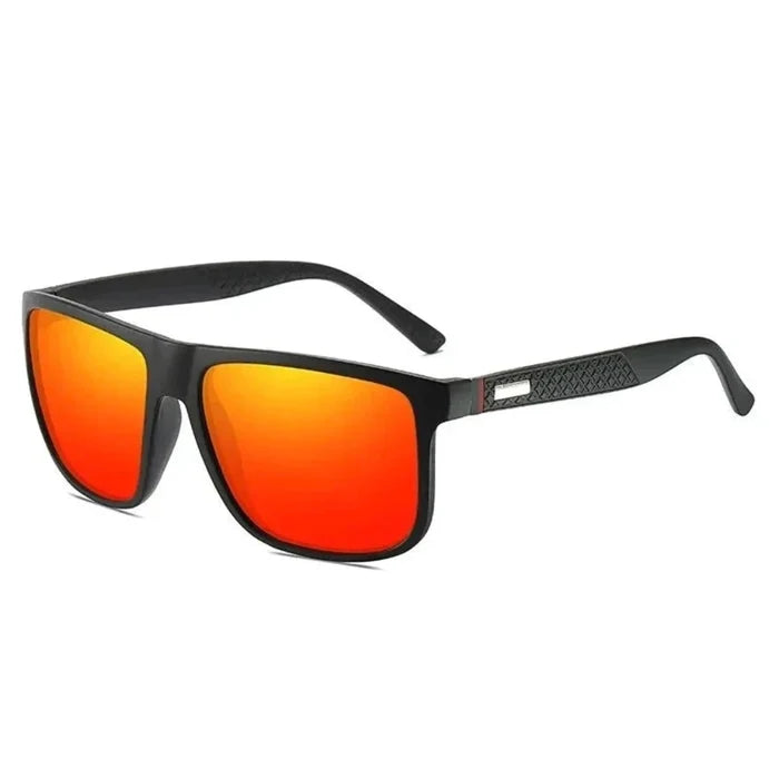 SUNGLASSES ASHBORNE