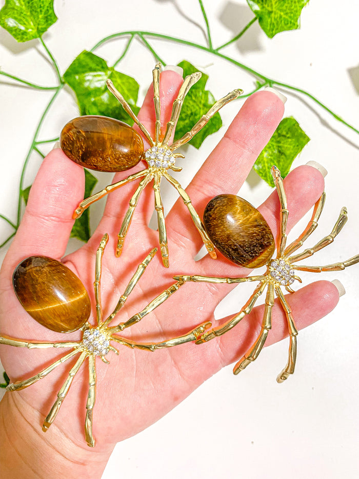 Tiger's Eye Spider