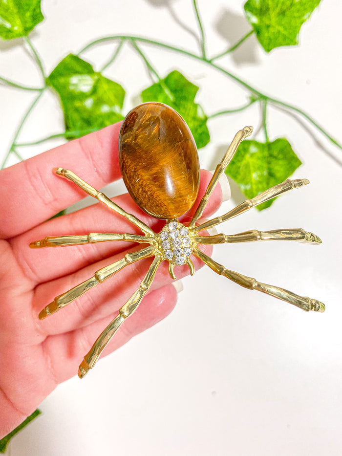 Tiger's Eye Spider