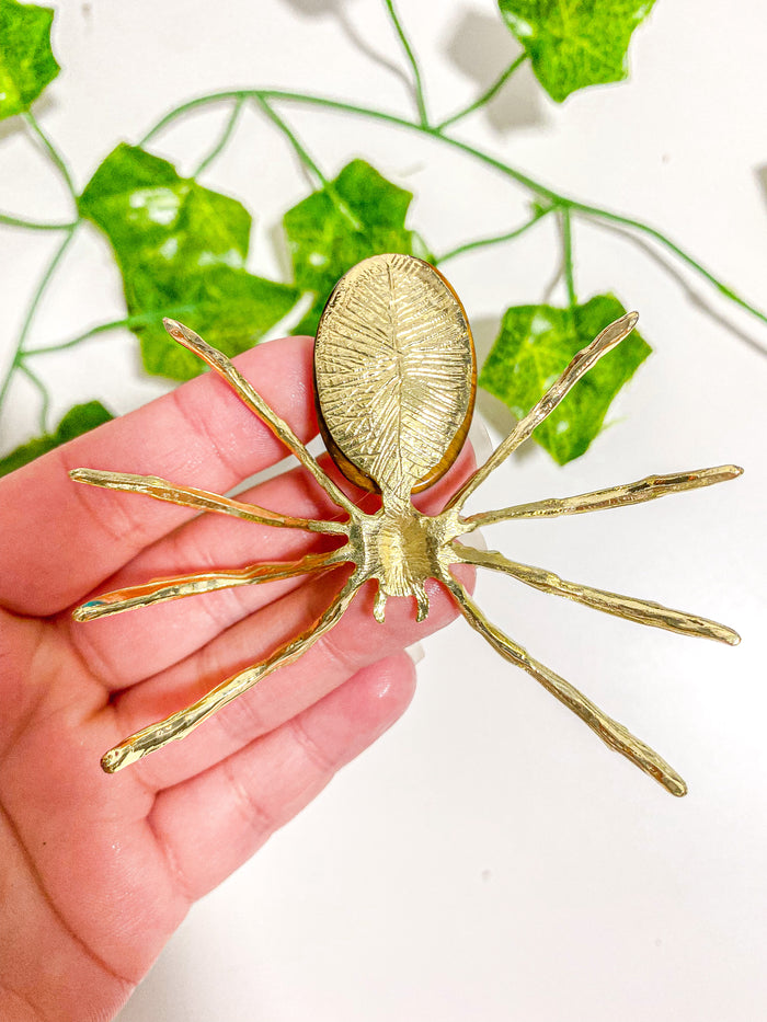 Tiger's Eye Spider