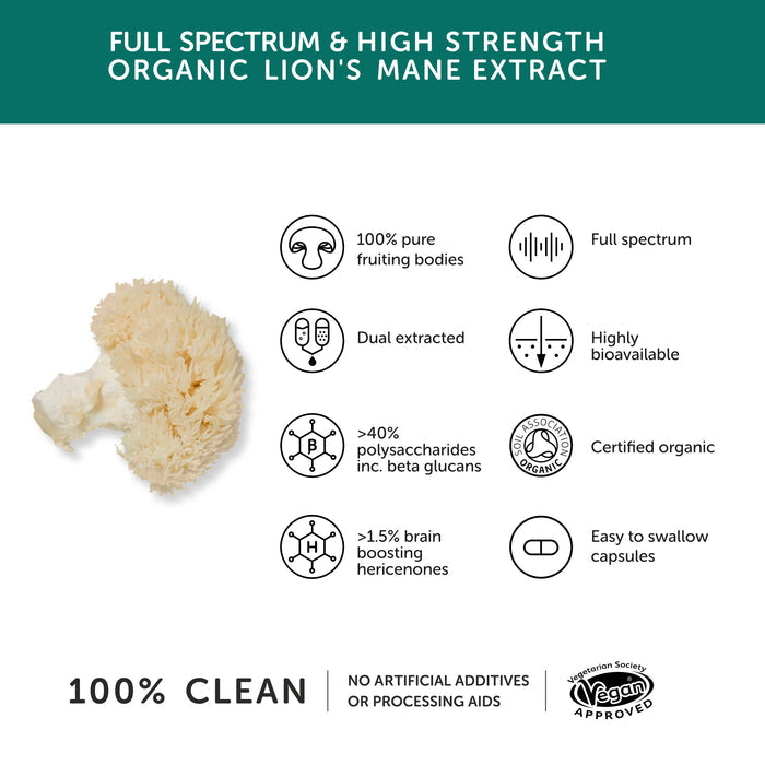 TOGETHER HEALTH Lions Mane Mushroom 9740mg - High Strength – 60 Capsules