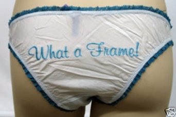 Tra.La.La Novelty Panty, What A Frame