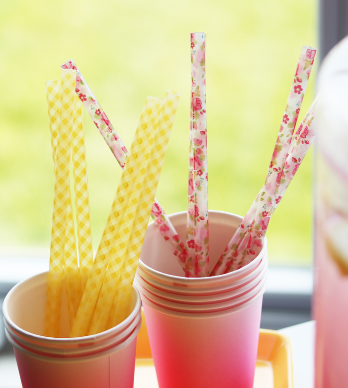 Yellow Gingham and Rose Reusable Straws